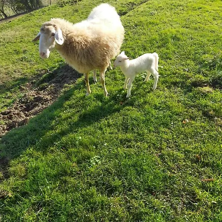 別荘 Tenuta La Scure La Cappella *