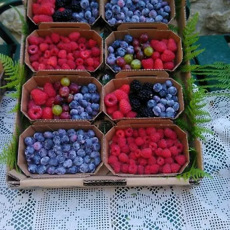 Vakantiehuis Tenuta La Scure La Cappella Cortona