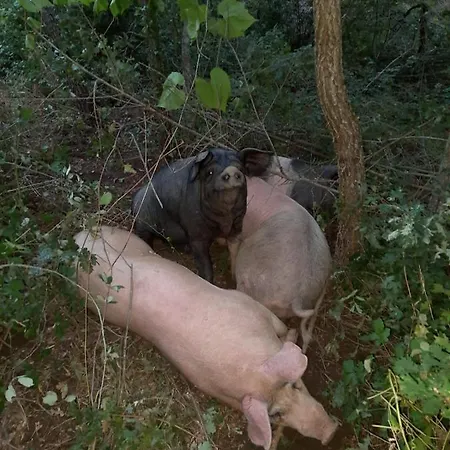 Σπίτι διακοπών Tenuta La Scure La Cappella