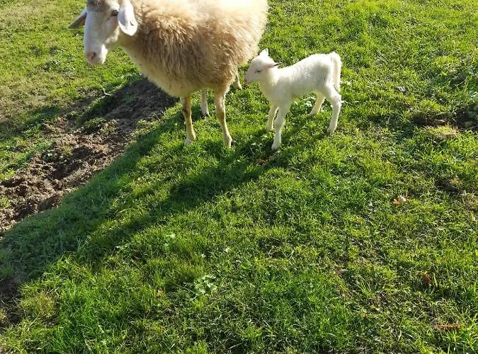 Dom wakacyjny Tenuta La Scure La Cappella *