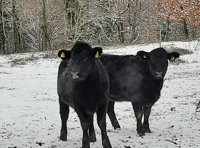 Tenuta La Scure La Cappella *