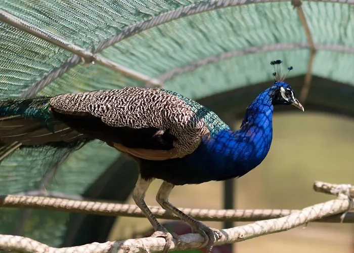 Dom wakacyjny Tenuta La Scure La Cappella