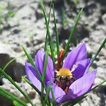 Tenuta La Scure La Cappella *