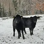 Tenuta La Scure La Cappella *